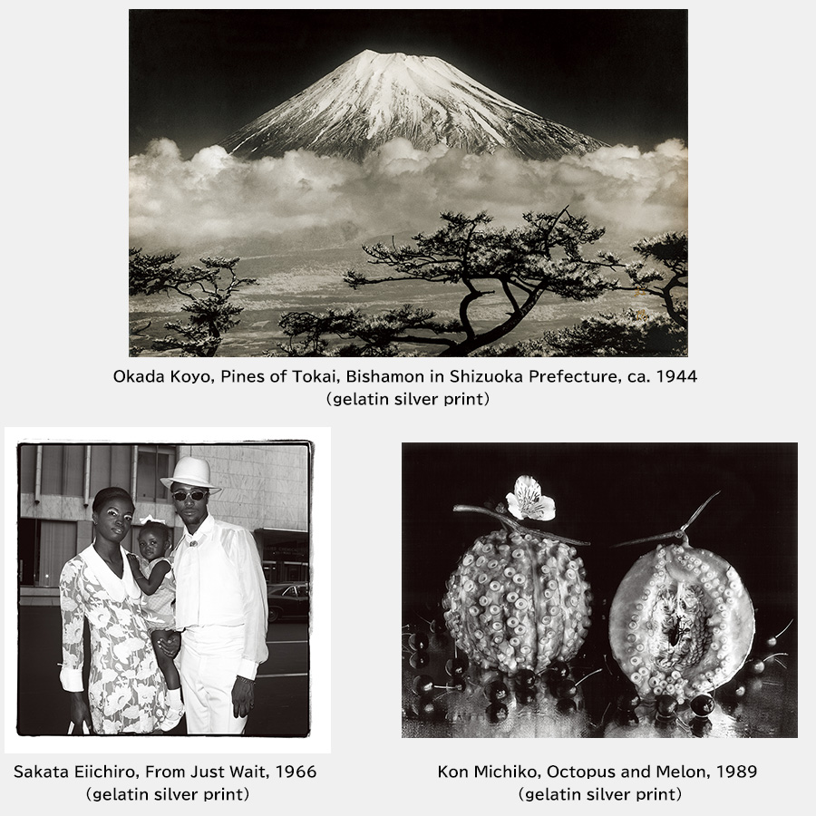 [Image]FUJIFILM Photo Collection Special Exhibition: Part 2  The Crystallization of Photographic Expression and Technique