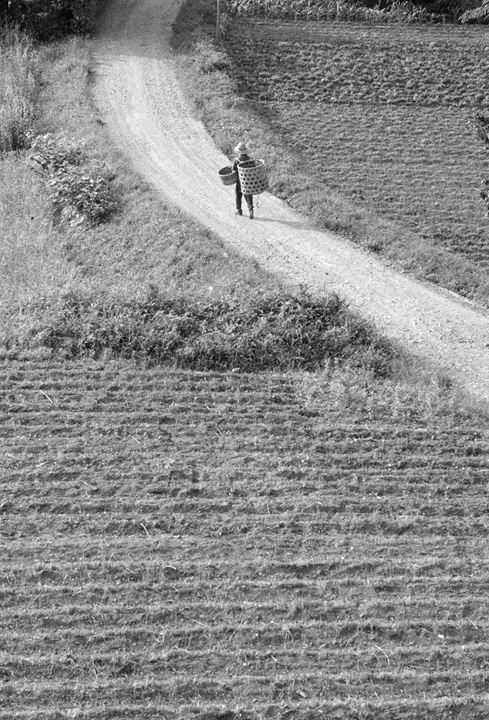 [image]「野良を行く人」下恩方・上宿 1957年 写真：前田真三 ©Shinzo Maeda, Tankei