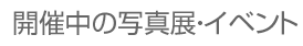 開催中のイベント・展示