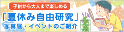 子供から大人まで楽しめる「夏休み自由研究」 写真展・イベントのご紹介