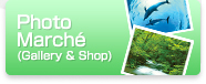 Photo Marché : Gallery & Shop