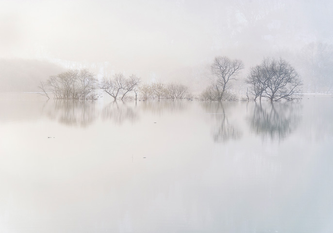 [image]小関一成写真展「霧幻の水森（もり） -Lake Shirakawa-」
