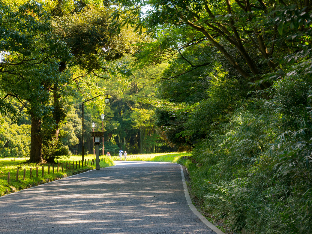 [image]代々木公園のサイクリングロード