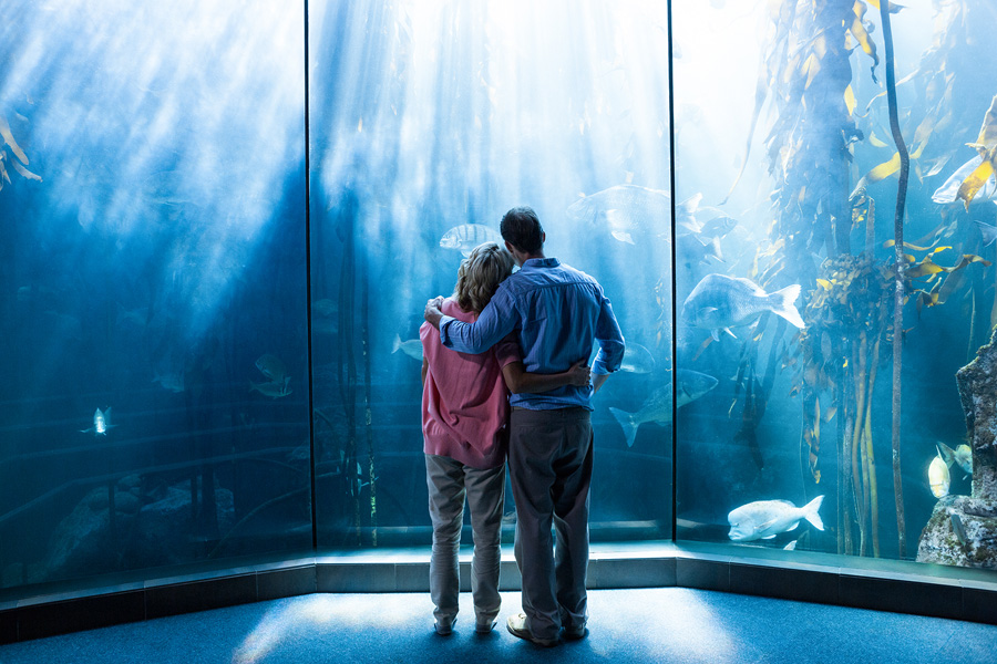 [image]水族館でデートするカップル