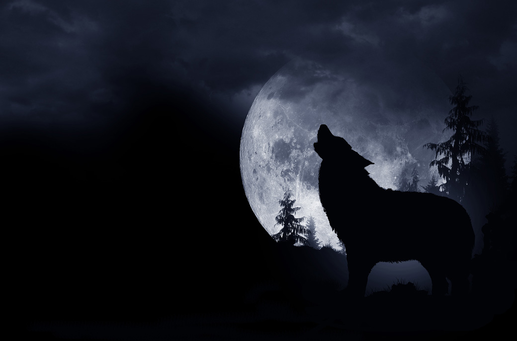 [image]狼と満月