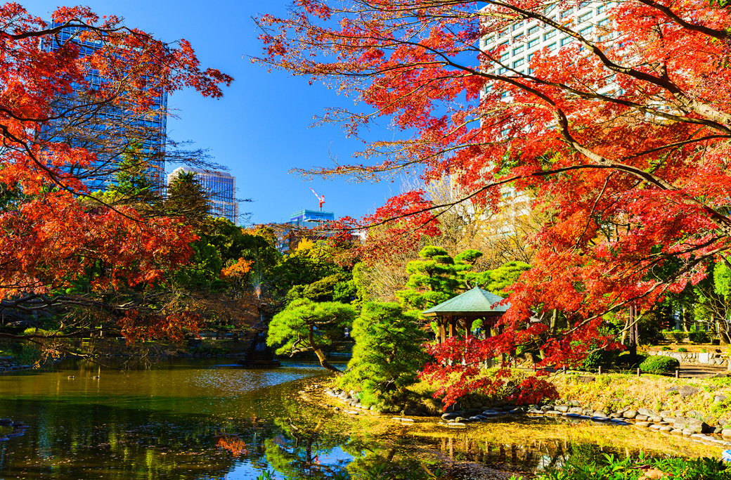 [image]紅葉と池の風景