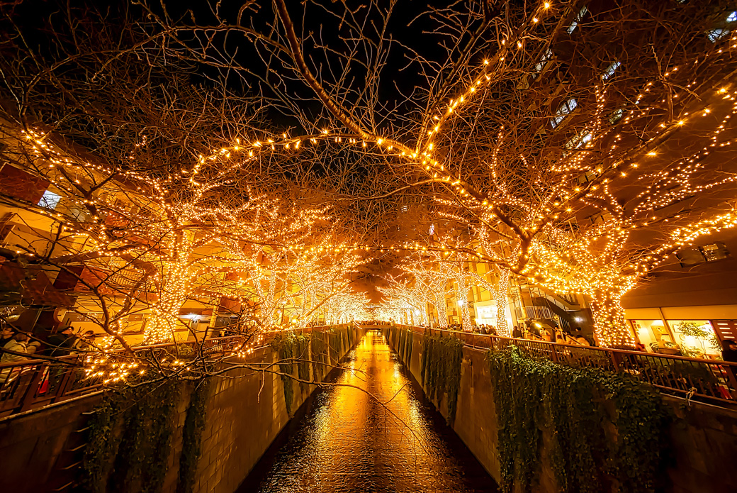 [image]東京目黒川のクリスマスイルミネーション
