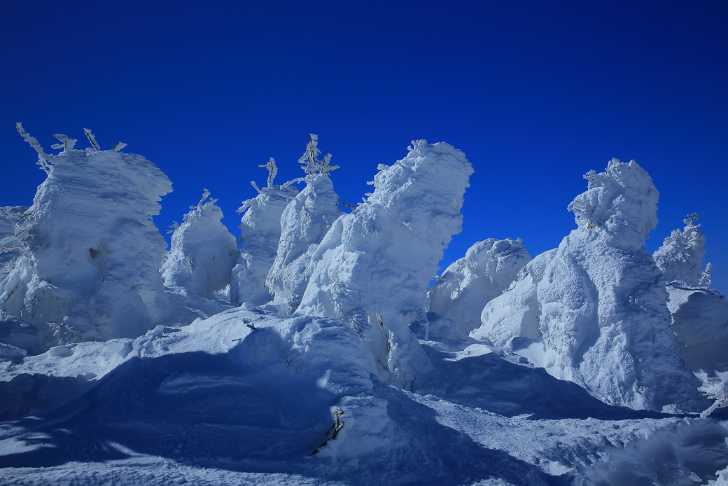 [image]蔵王の雪景色