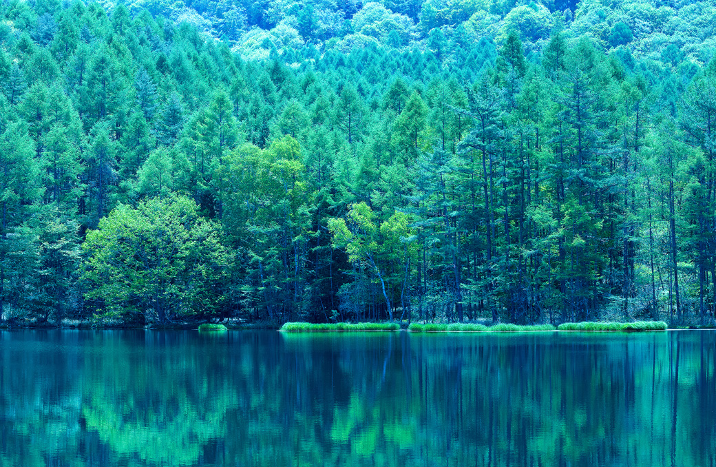 [image]日本の緑の池の絶景