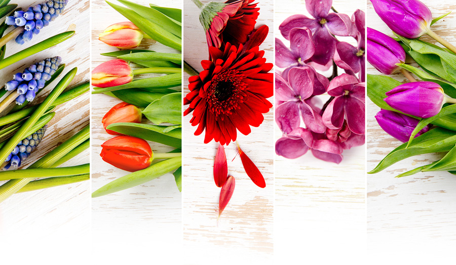 悪夢の原因は何ですか?