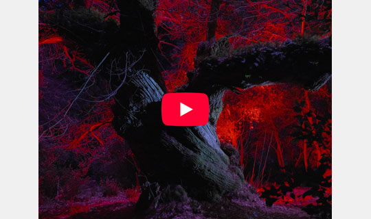 [image]GFX Challenge Grant Program 2024 ～Make Your Next Great Image～