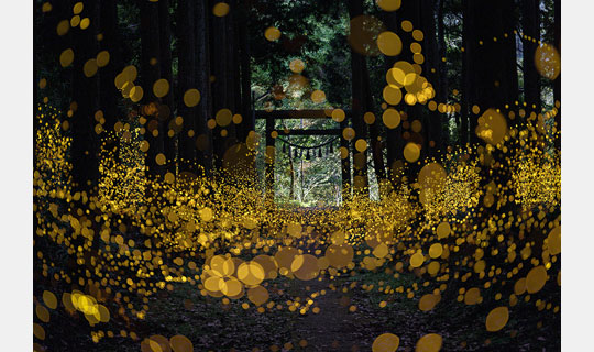 [Image]SHOCK EYE写真展「和景讃歌」 The Power of Japanese Scenery