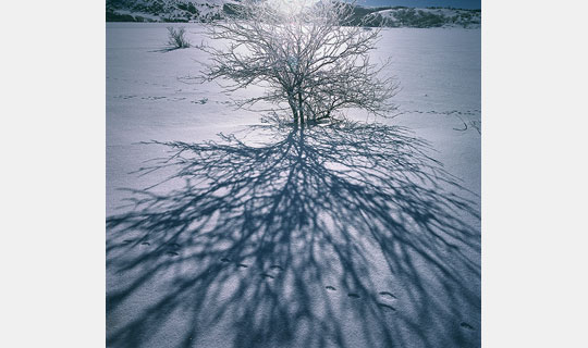 [Image]『風景写真祭2026』「第21回美しい風景写真100人展」「風景写真Xtension展」