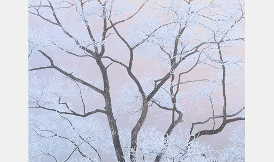 [Image]星野 翔 写真展「律」