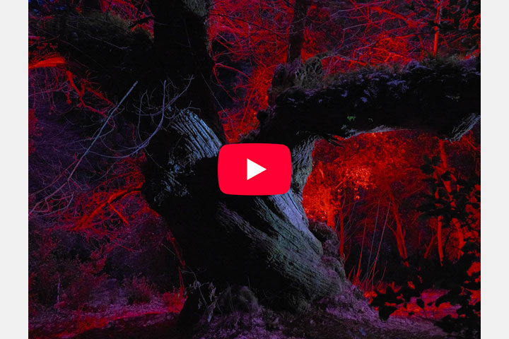 [image]GFX Challenge Grant Program 2024 ～Make Your Next Great Image～