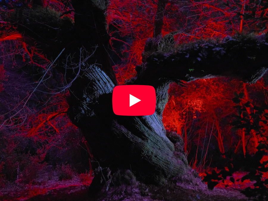 [image]GFX Challenge Grant Program 2024 ～Make Your Next Great Image～ 15作品の写真家によるメイキング映像