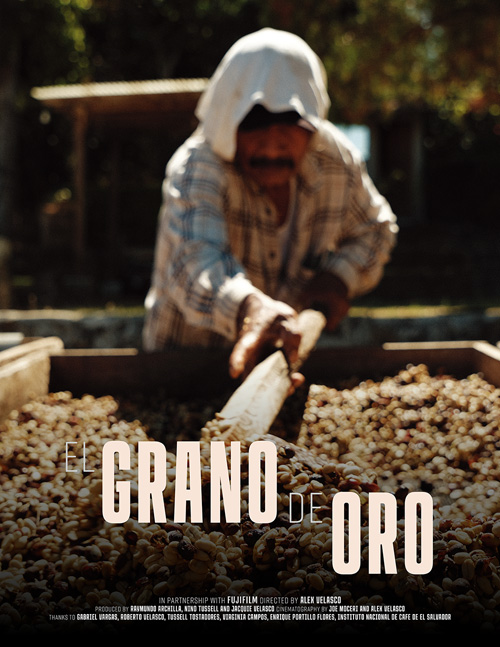 [image]El Grano de Oro（金の粒）