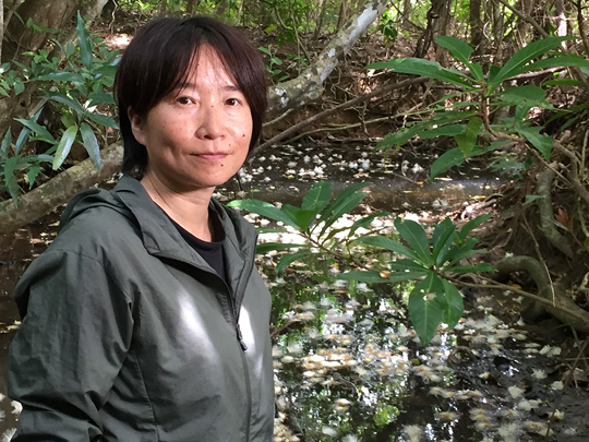 [image]原田 美奈子