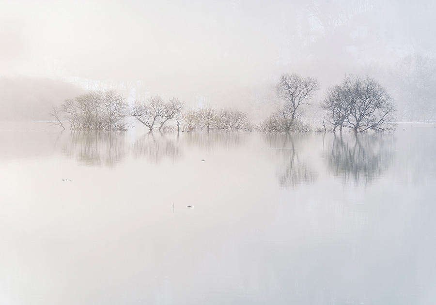 [banner]小関一成写真展 「霧幻の水森（もり） -Lake Shirakawa-」