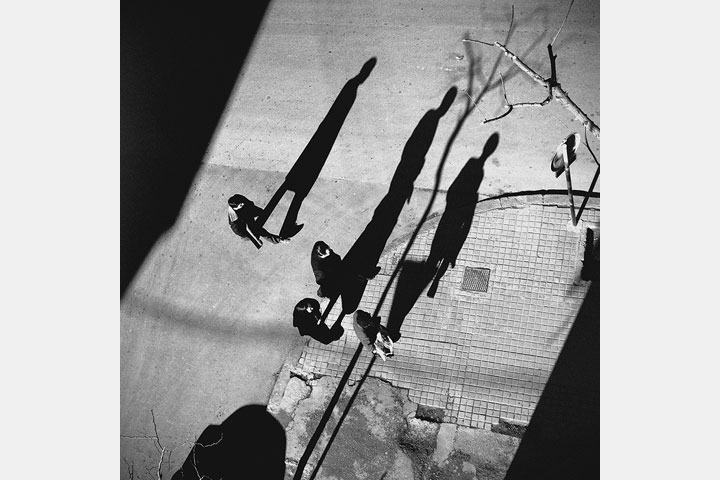 [image]高橋宣之写真展 「鳥の歌 El Cant dels Ocells」
