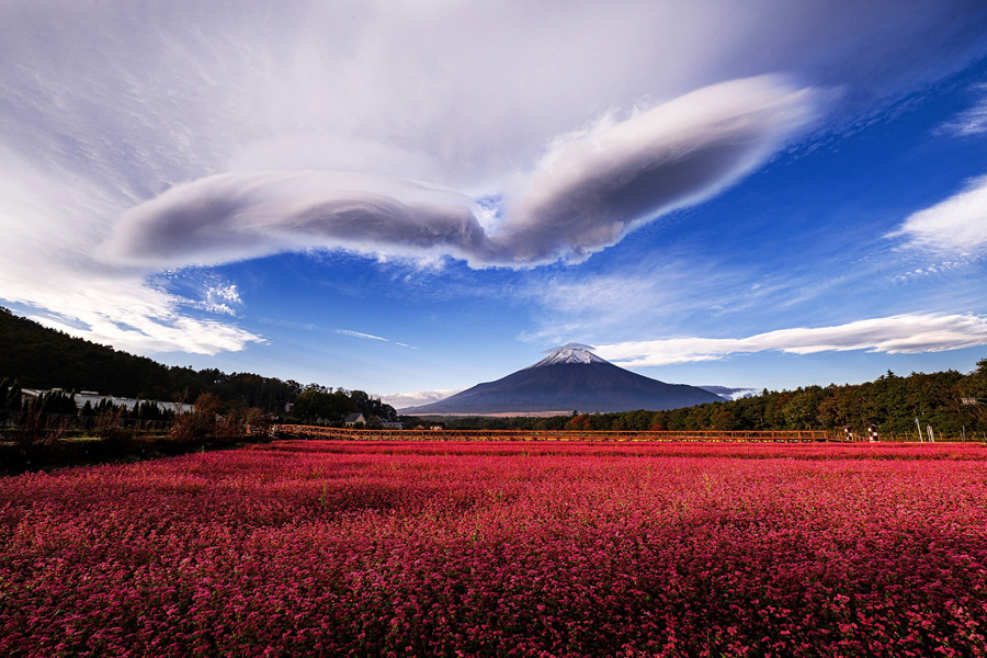 [Image]第17回 山中湖フォトグランプリ写真展