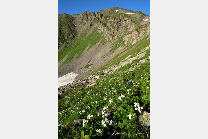 [image]宮本宏明写真展「赤石岳 ～3,000m峰の四季をめぐる～」