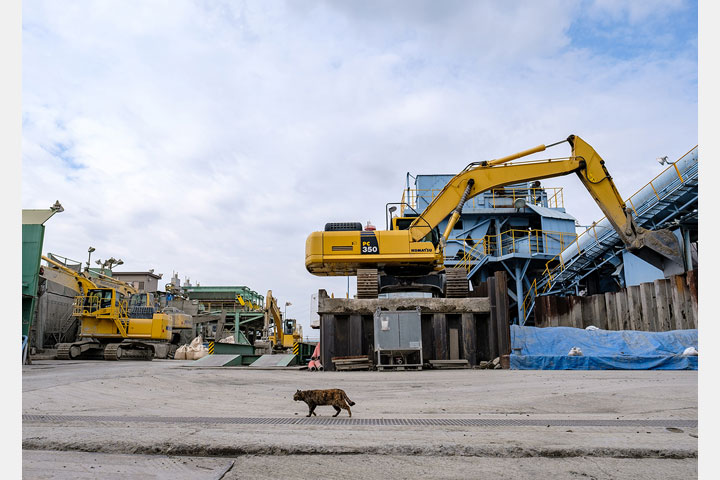 [image]松本伸夫写真展「工場街の猫景色」