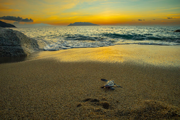 [image]鈴木一雄写真展「－にっぽん列島－ いのちの聲」
