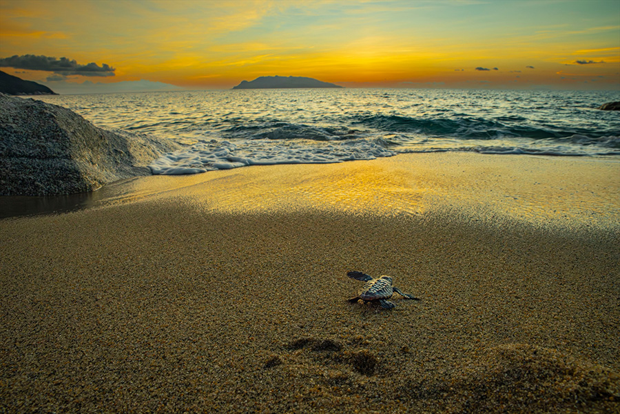 [Image]鈴木一雄写真展「－にっぽん列島－ いのちの聲」