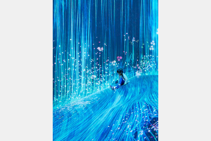 [image]「第17回 六本木フォトコンテスト写真展」