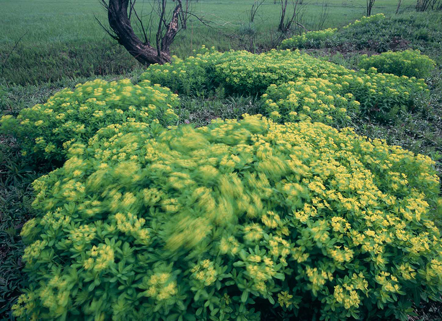 [Image]写団・渡良瀬写真展「渡良瀬四季彩」