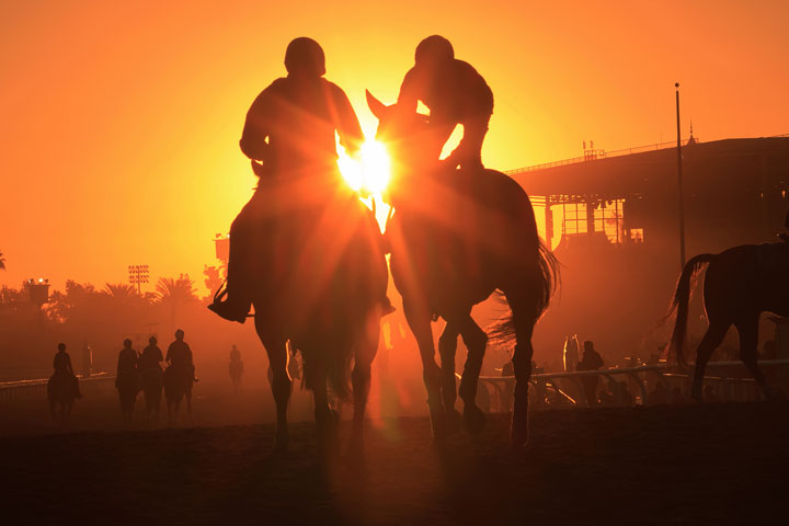 [image]第10回競馬写真家グループ展「途 サラブレッド 2025」