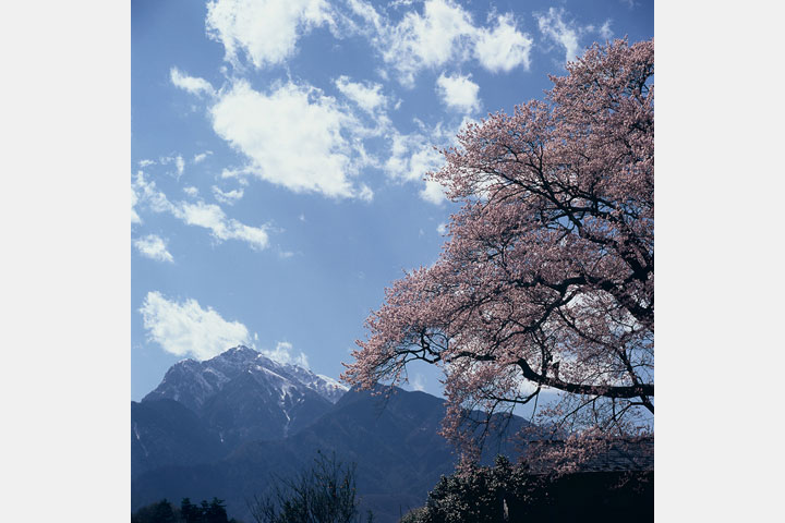 [image]第44回　ハッセルブラッドフォトクラブ写真展