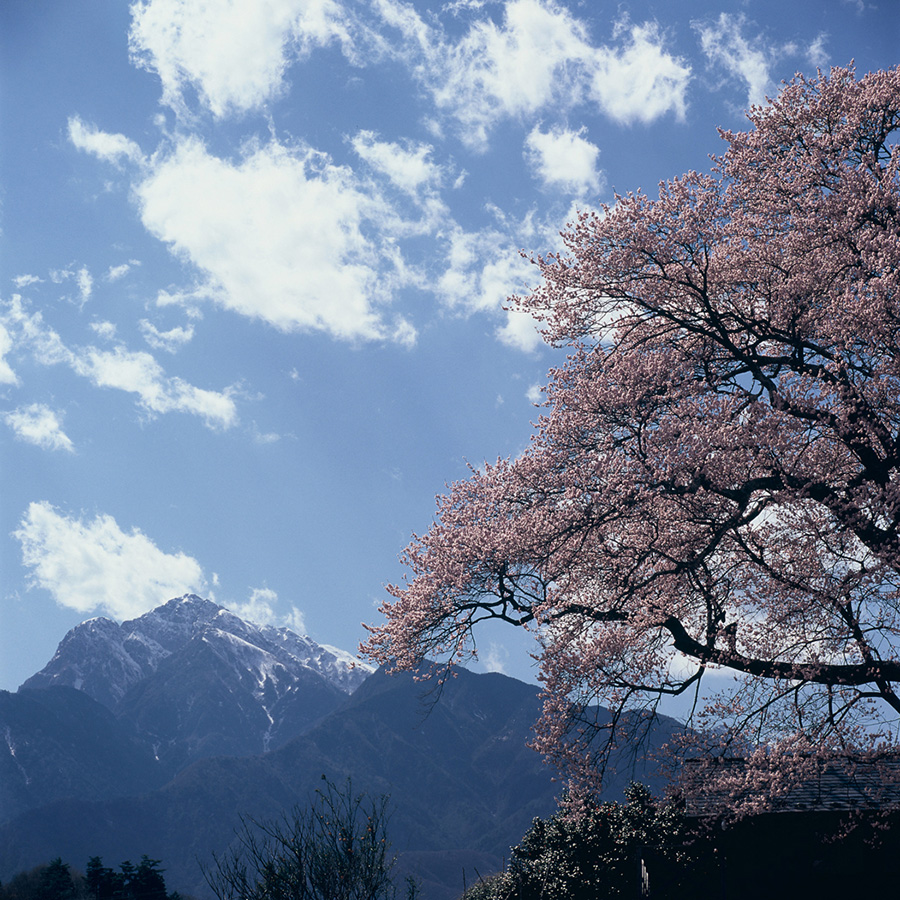 [Image]第44回　ハッセルブラッドフォトクラブ写真展