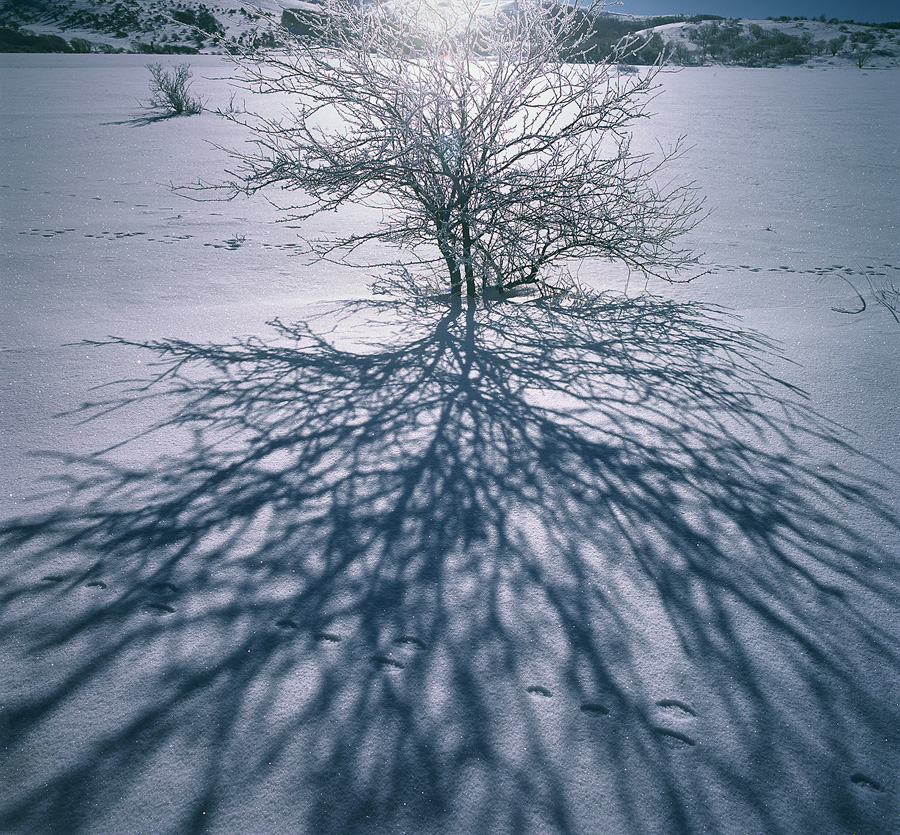 [Image]『風景写真祭2026』「第21回美しい風景写真100人展」「風景写真Xtension展」