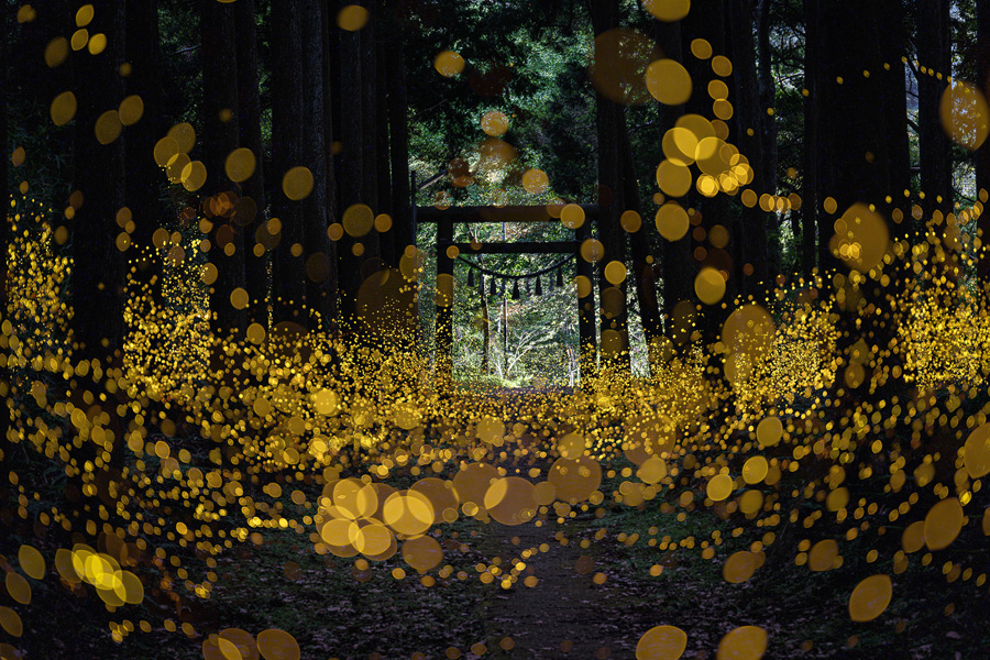 [Image]SHOCK EYE写真展「和景讃歌」 The Power of Japanese Scenery