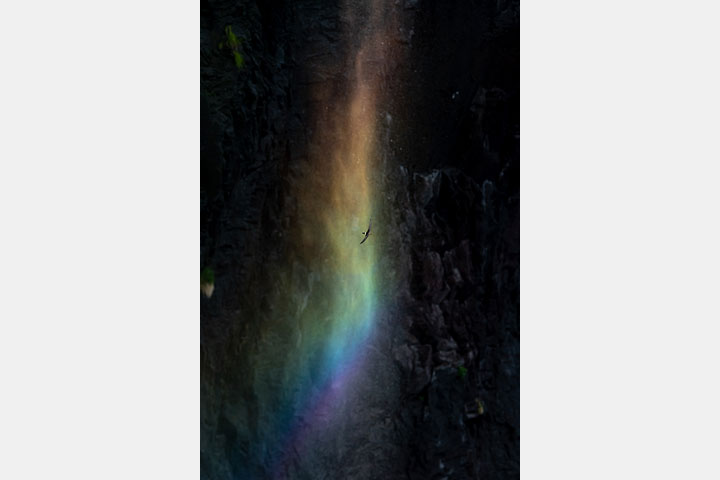 [image]高橋海斗写真展「Ever-Flowing Life」 知床 ―めぐりゆく時の中で―