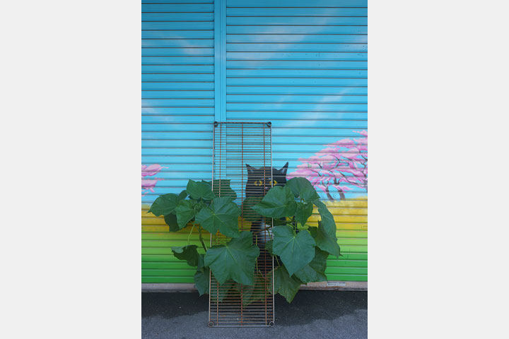 [image]写真集団ポップコーン写真展「東京余白」