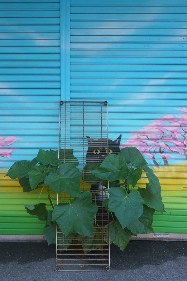 [Image]写真集団ポップコーン写真展「東京余白」