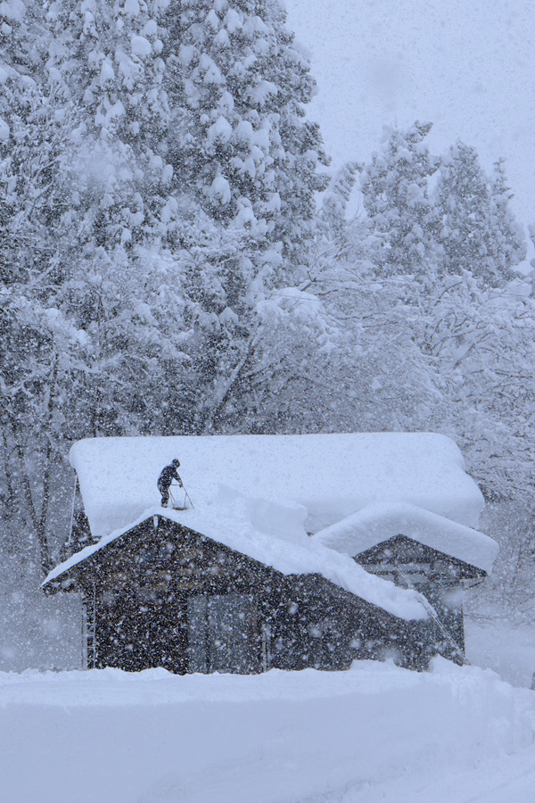 [Image]中澤勝 写真展「雪国」
