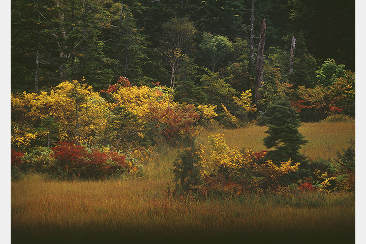 [image]鈴島章嘉写真展「想い出の尾瀬風景」