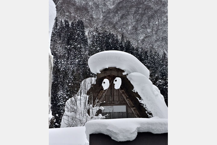 [image]第47回 よみうり写真大賞 入賞作品発表展