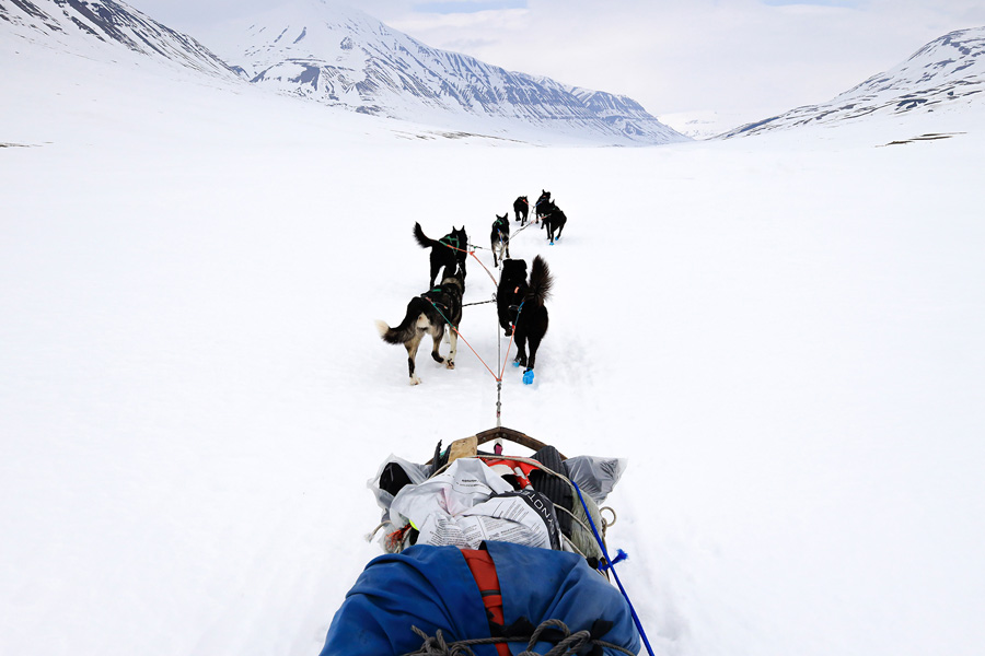[Image]林 祐介写真展「Svalbard78°～」 ～北極圏犬橇350キロの旅～