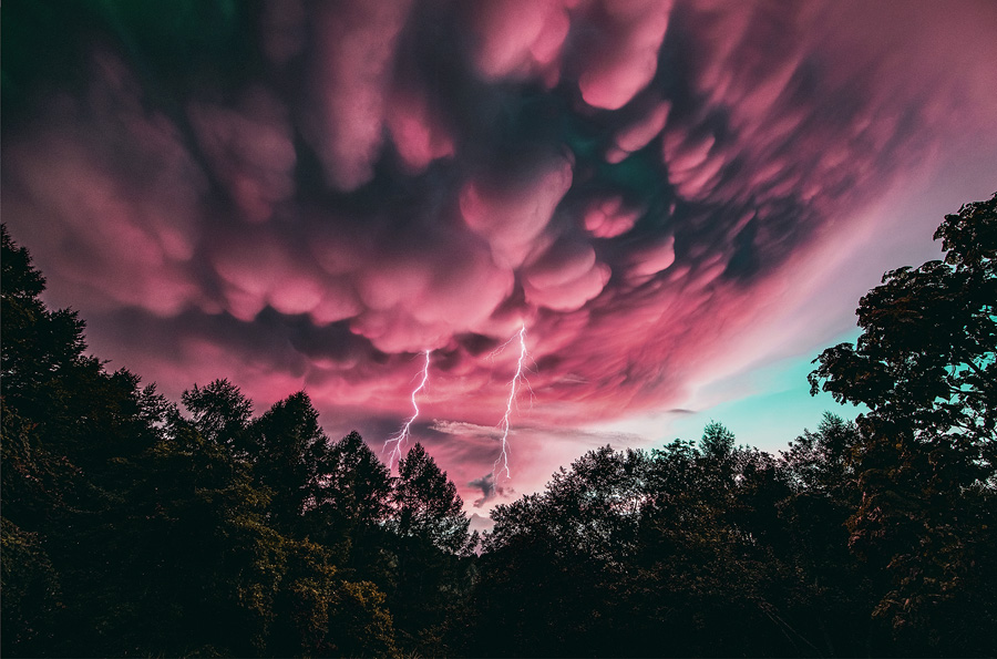 [Image]「第64回 富士フイルムフォトコンテスト」入賞作品発表展