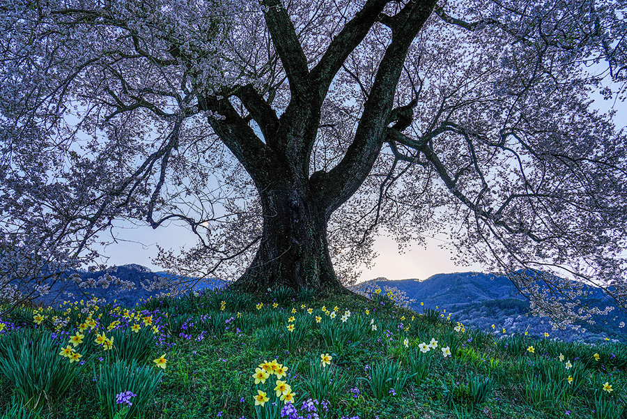 [Image]「風景写真上達法」