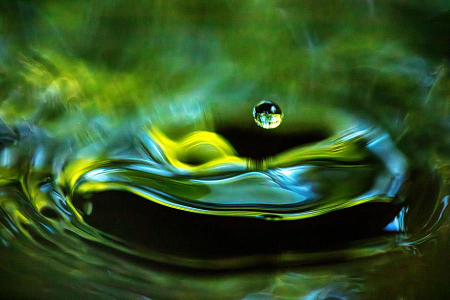 [Image]高橋宏和写真展「光のうた　Brilliance」