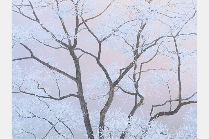 [image]星野 翔 写真展「律」