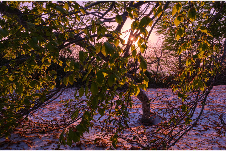 [image]輝望フォトグラファーズ25周年記念写真展「想いを伝える風景」