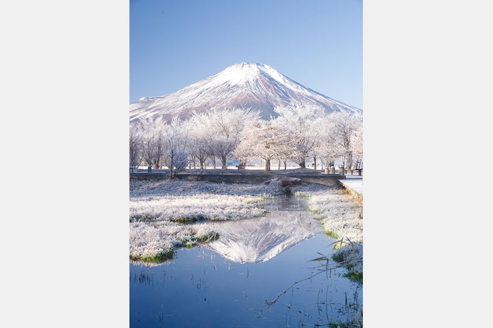 [image]第19回 山中湖フォトグランプリ写真展