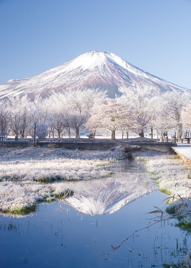 [Image]第19回 山中湖フォトグランプリ写真展